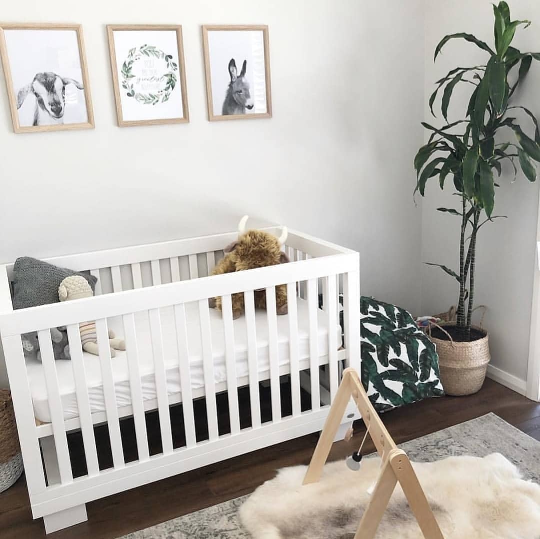 COCOON ASTON including an Australian made inner spring mattress
